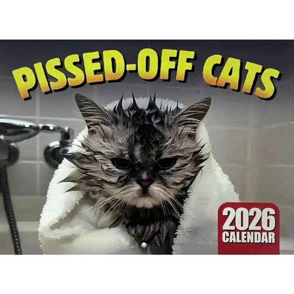 2026 Pissed Off Cats Calendar Funny - Picture 1 of 8